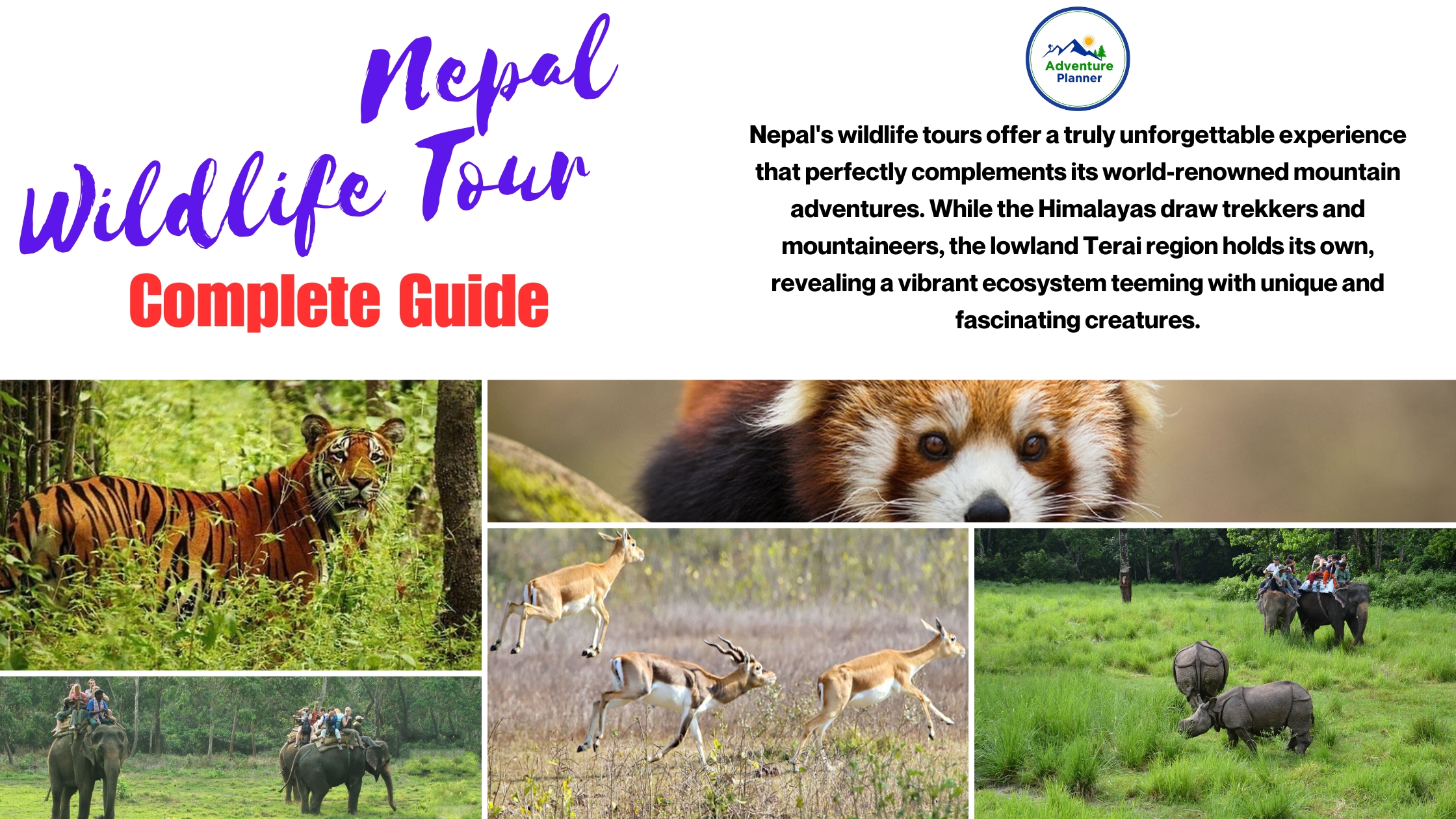 Blue and White Modern Minimalist Vacation Tips Tropical Sea Tourism Blog Banner