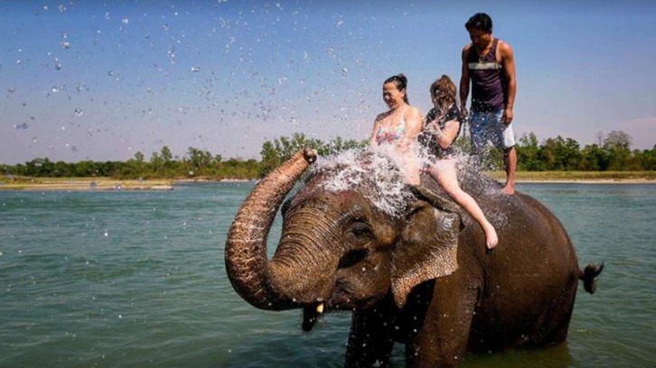 chitwan-jungle-safari-tour