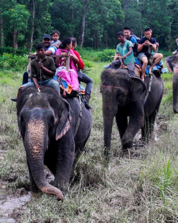 Elephant_Safari_inside_Chitwan_National_Park-20230718121716